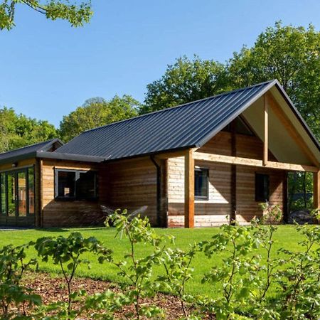 Cosy Wooden House Amid Woods In Soesterberg Utrecht Exteriér fotografie