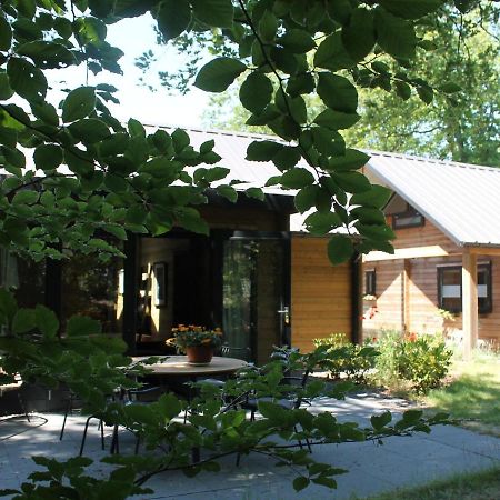 Cosy Wooden House Amid Woods In Soesterberg Utrecht Exteriér fotografie